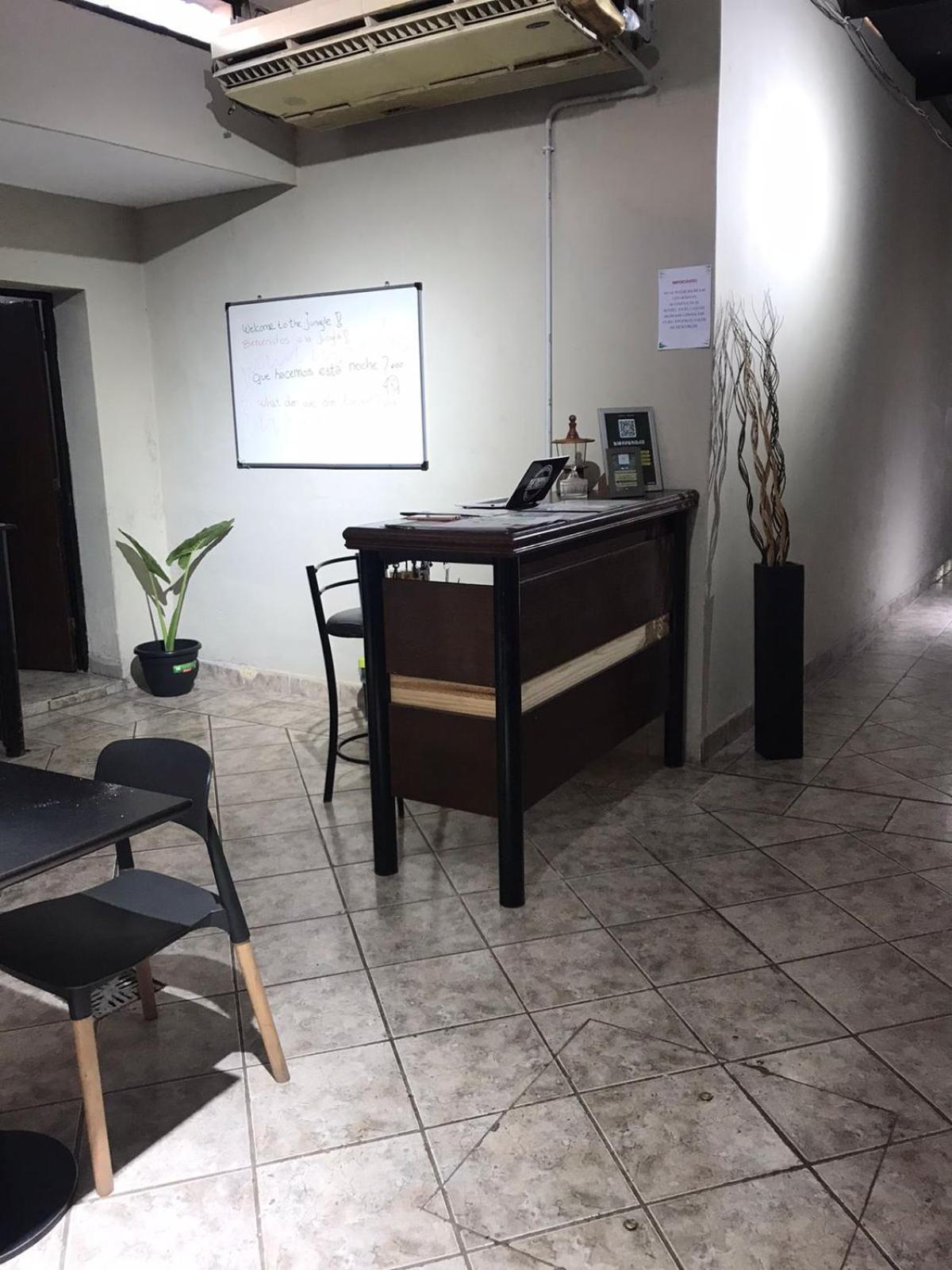 Urban Jungle Hostel サンミゲルデトゥクマン エクステリア 写真