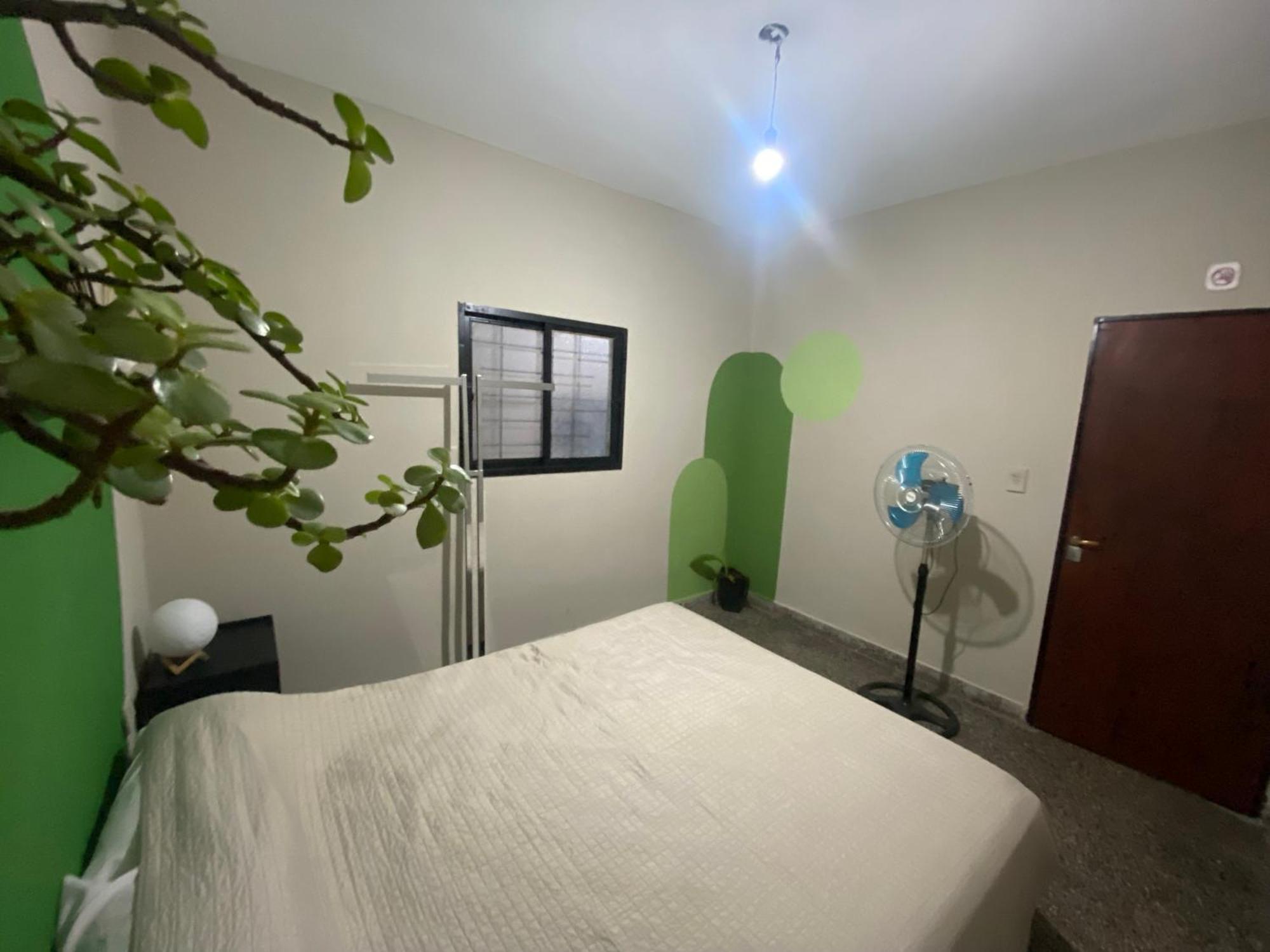 Urban Jungle Hostel サンミゲルデトゥクマン エクステリア 写真